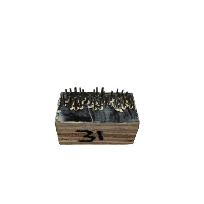 Stempel nr. 31